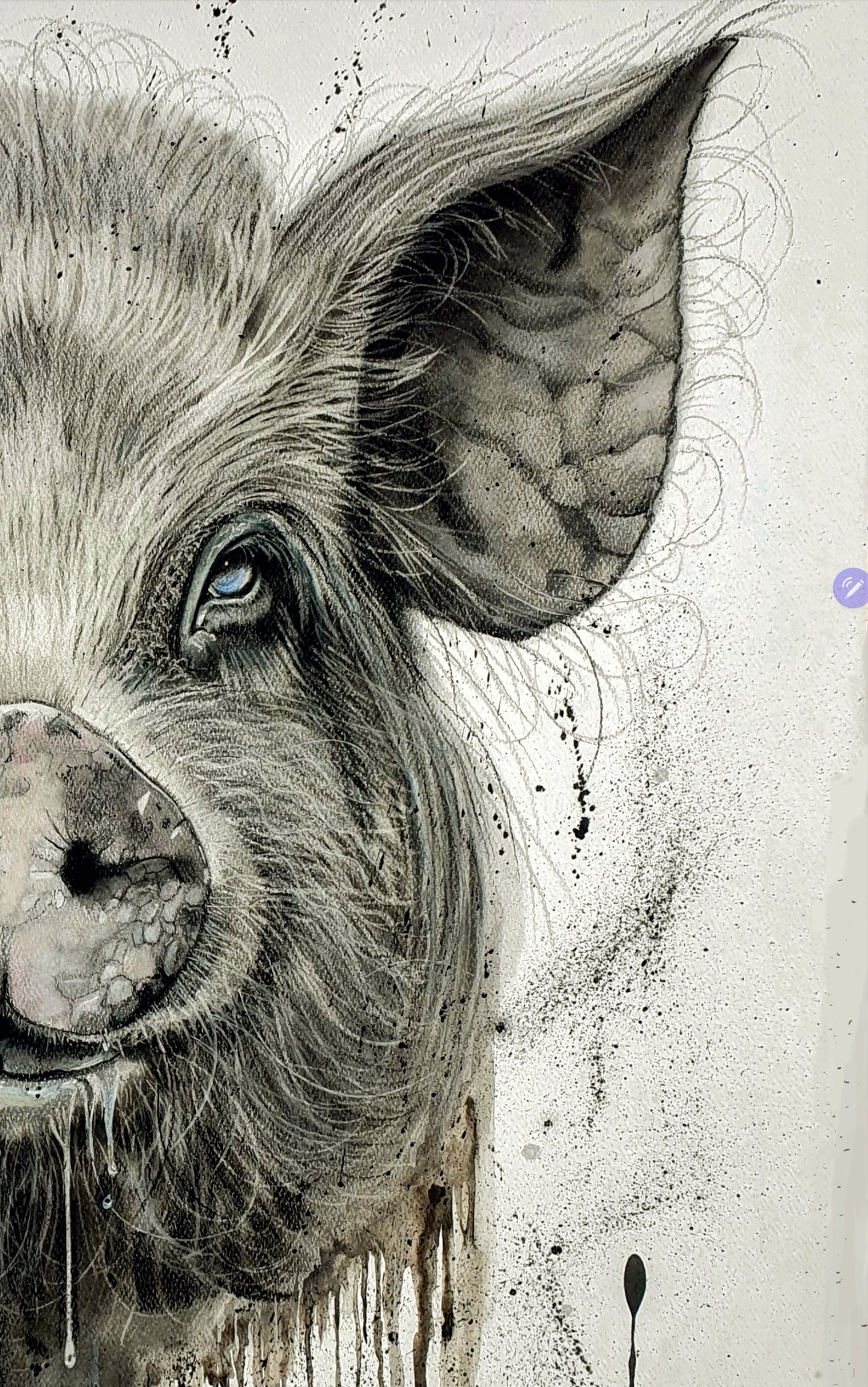 GREEDY IRISH PIG -Limited Editions & Open Edition Prints