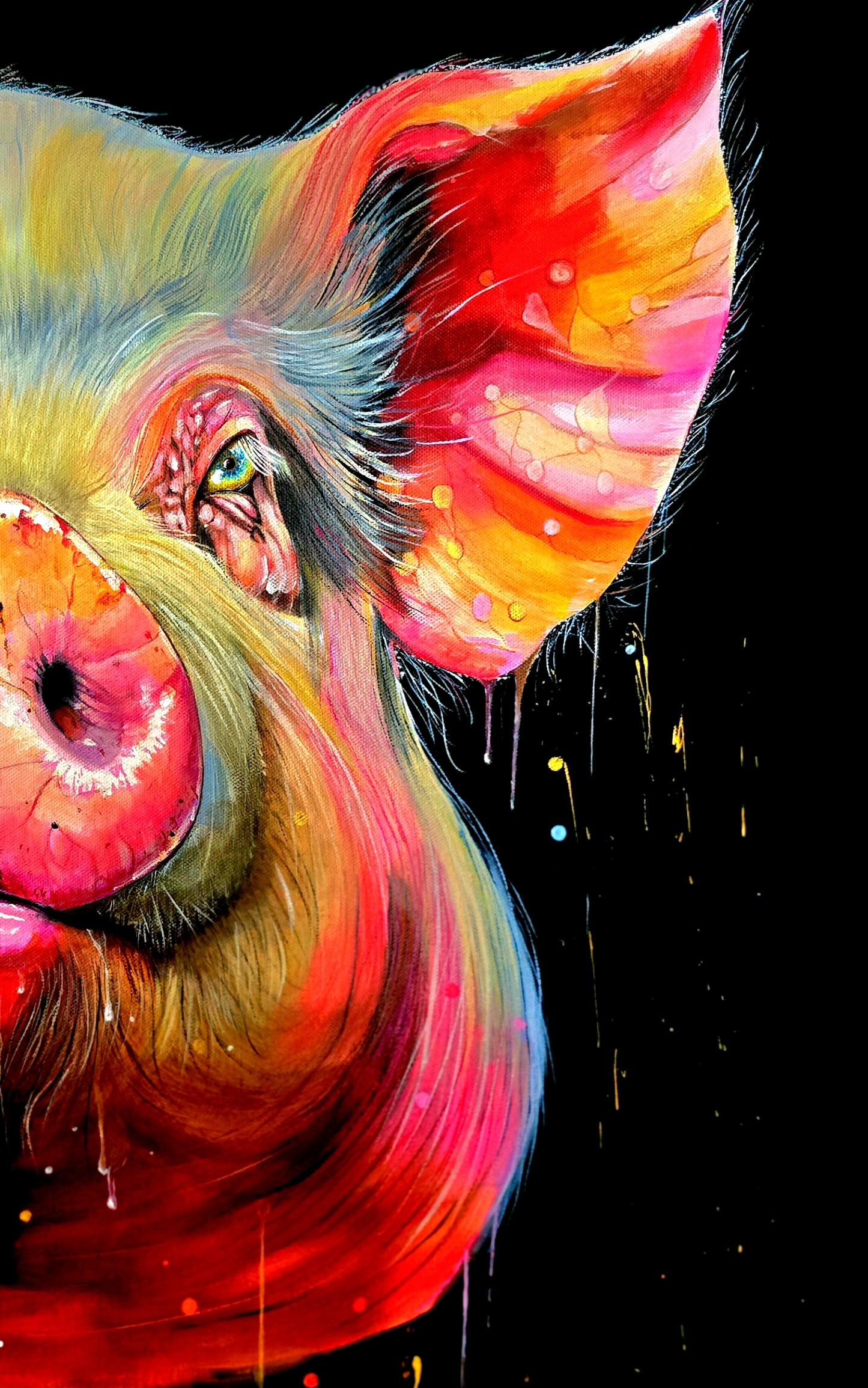 CORNELIUS -Limited Editions & Open Edition  Prints