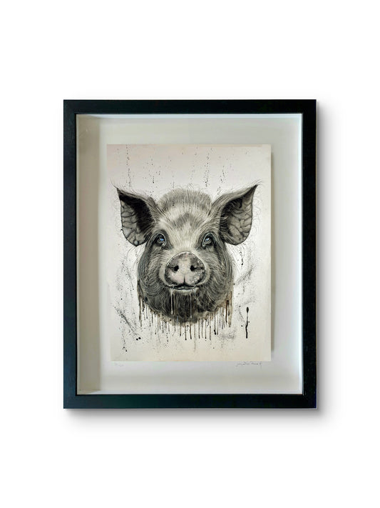 GREEDY IRISH PIG -Limited Editions & Open Edition Prints