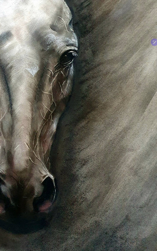 Liath Macha Original- SOLD - Prints Available