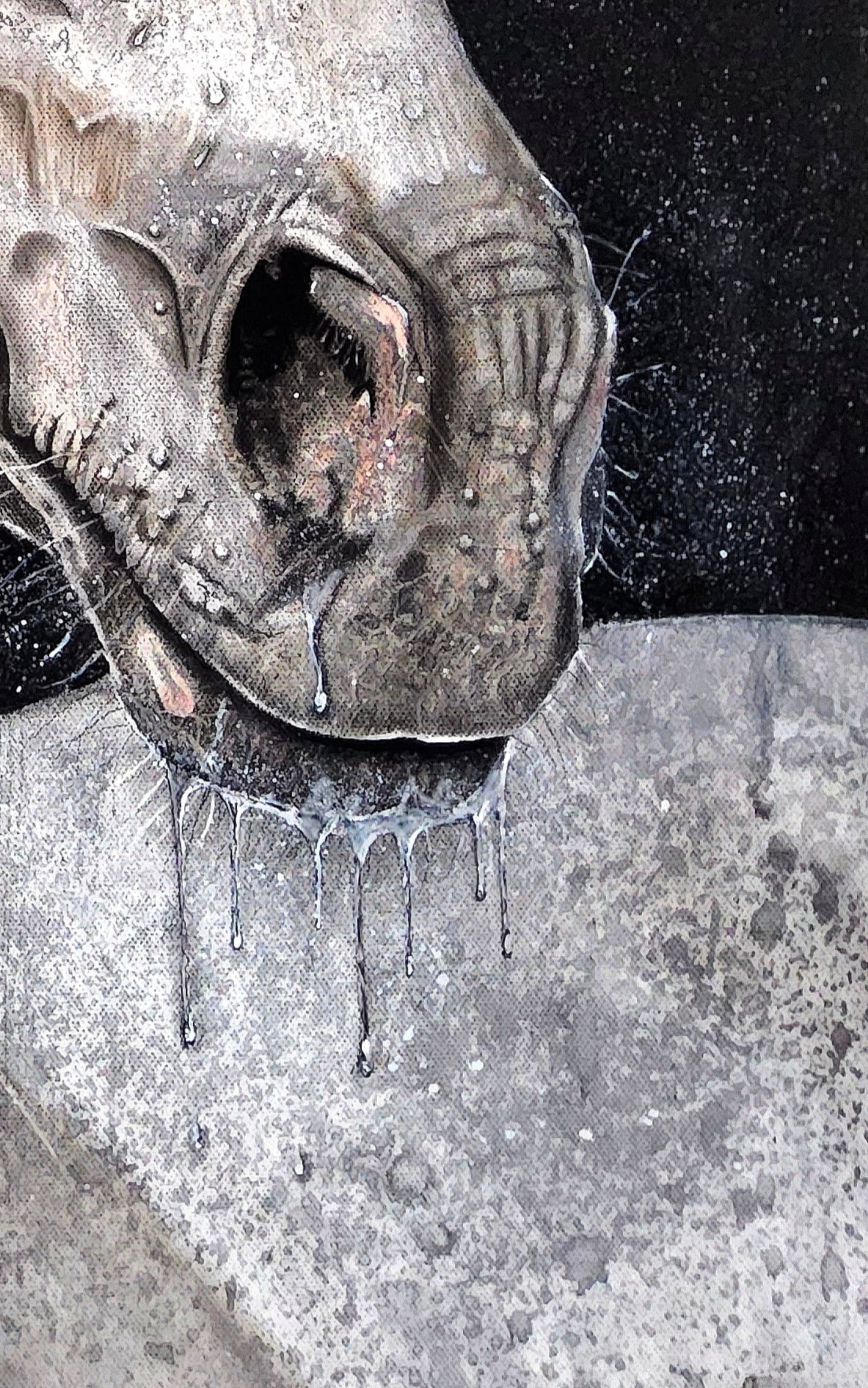 Draìochta (Of Magic) Limited Editions & Open Edition  Prints