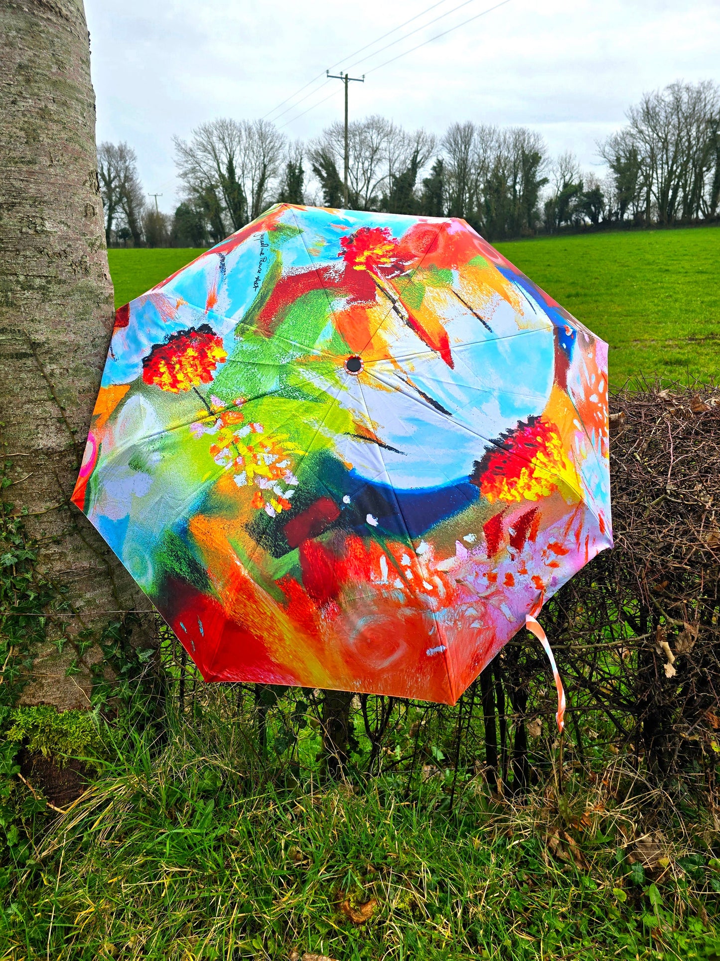 COMPACT UMBRELLA (DAISY SUNSHINE 🌞 🌼💮⚘️