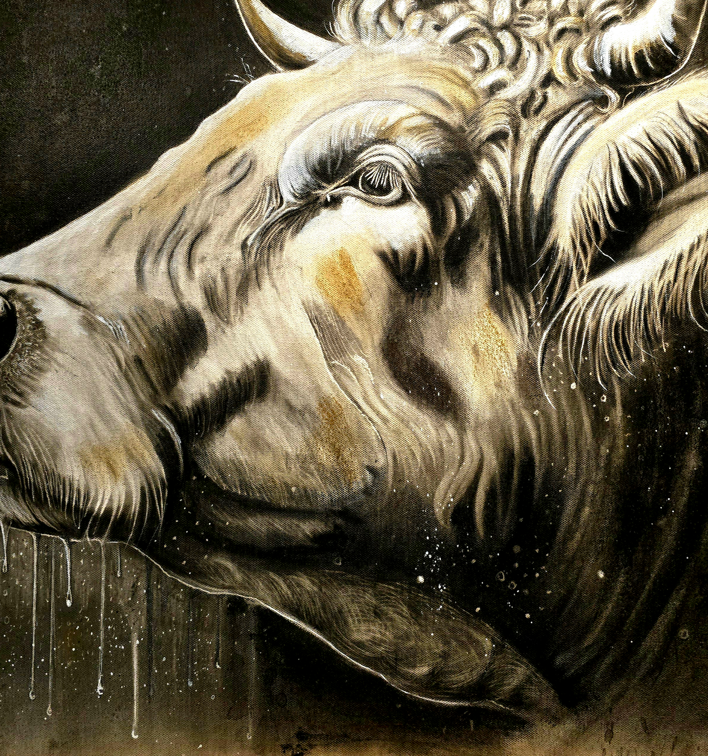 An Bó Bheannaithe, The Blessed Cow- Limited Editions & Open Edition  Prints