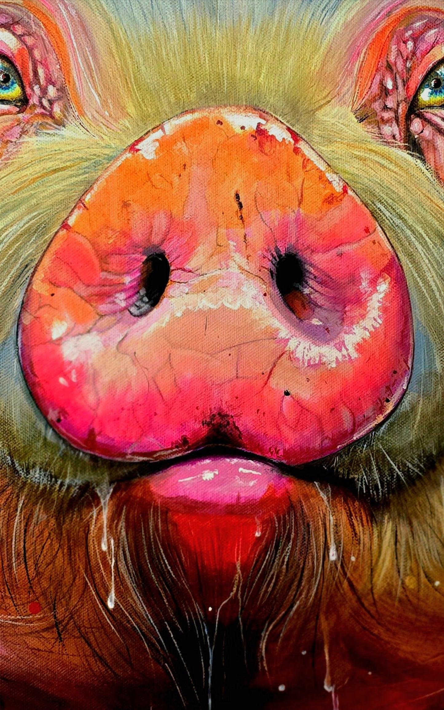 Cornelius Original